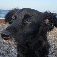 Ana Cristina Coello García