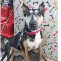 Vanessa Coello Barrajón