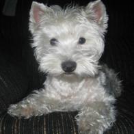 Marta Romero Bonaplata