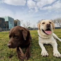 Nuria Pires Manzanares