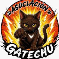 Asociación Gatechu De Protección Felina
