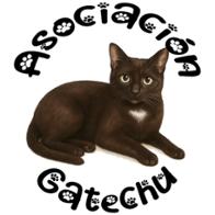 Asociación Gatechu De Protección Felina
