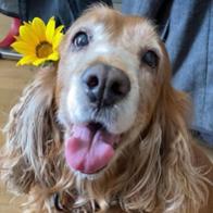 Cristina Natalia Napanga Ramírez