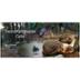 Tiernotfallhilfegruppe Celle