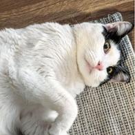 Marta Vicente Carrasco