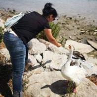 Fabiola Bernal Galiano