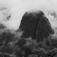 Elena Guillen Martinez