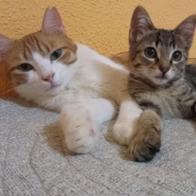 Beatriz  Rodrigo Calzada