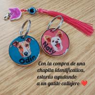 Fátima  Vélez Cavalleiro