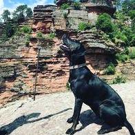 Alicia Mendez Martins