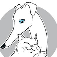 ASOCIACIÓN PROTECTORA  DE ANIMALES DE CÁCERES