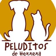 Peluditos  De Herrera