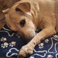 Víctor Ramón  Couceiro López