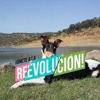 Maria Jose Serrano Martinez