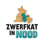Zwerfkat in Nood