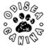 Odisea Canina Protectora