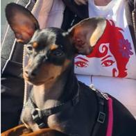 Lydia Villar Bugarin