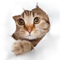 Jose Manuel Garcia Alvarez