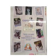 CAP Felina  CAP Felina