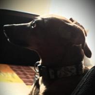 Isabel Rodriguez Peral