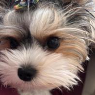 Verónica Escribano Santiago