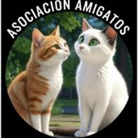 Amigatos Asociación Felina