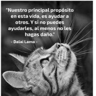 Crisaldia Bouza