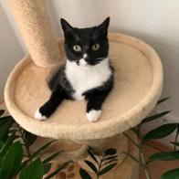 María Jesús Prieto