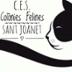 Gats Sant Joanet