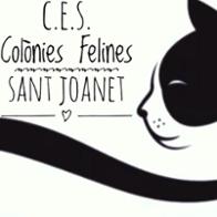 Gats Sant Joanet
