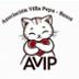 AVIP Busot