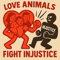 DANIEL  SANCHEZ FERNANDEZ