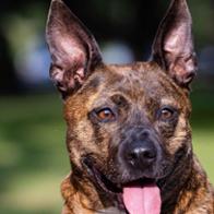 Beatriz  Fernández García