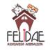Asociación Animalista Felidae🐾