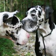 manus in manu Reimann