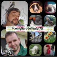Il Conigliaro  Delle Alpi