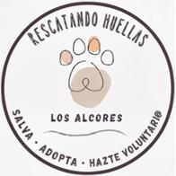 Rescatando  Huellas Los Alcores