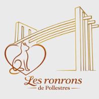 Association  Les Ronrons de Pollestres
