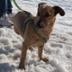 Sylvie Parade