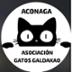 Aconaga Gestión colonias Galdakao