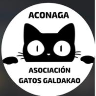 Aconaga Gestión colonias Galdakao