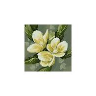 Lorena Ortega Ortega