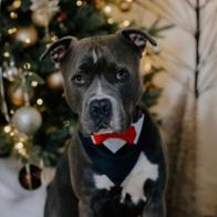 Lourdes Utrillas Anaya