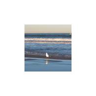 ROSA MARTINEZ CABALLERO