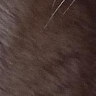 Mariano Pérez Escribano