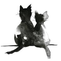 Asociación Protectora Animalista Afelina