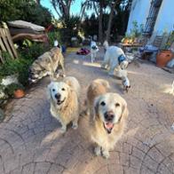 Alba Lluna  Angosto Oliveras