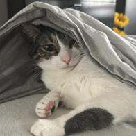 Ander Arrieta Arranz