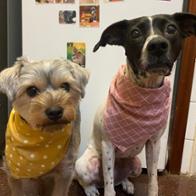 Carla Valencia Yépez