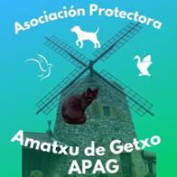 Asociación Protectora Amatxu de Getxo